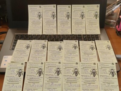 Marko Mašić Oplodna stanica