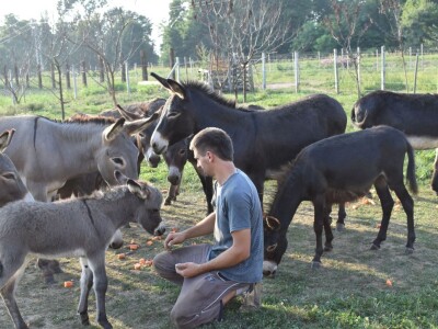 OPG INFINITY OPG INFINITY