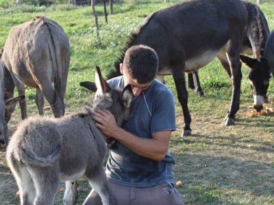 OPG INFINITY OPG INFINITY