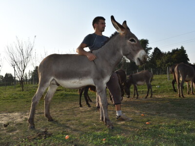 OPG Infinity OPG Infinity