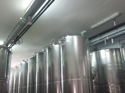 Kapacitet podruma je do 300 tisuća litara