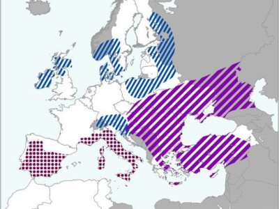 Ekstremne vremenske prilike Ekstremne vremenske prilike