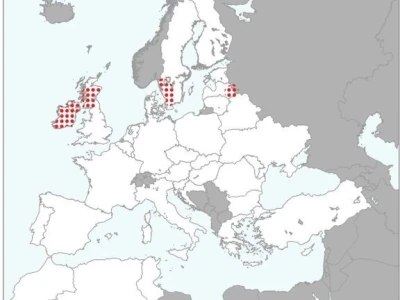 Zimski i proljetni usjevi