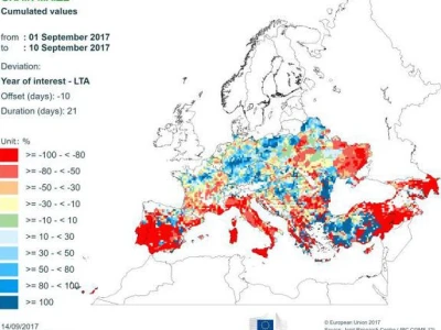 Količina oborina u fazi sazrijevanja kukuruza