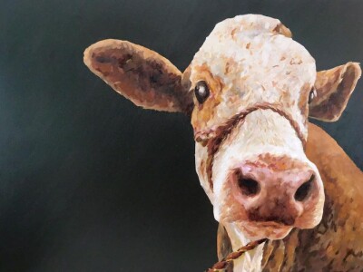 Slika samo jedan motiv - krave!