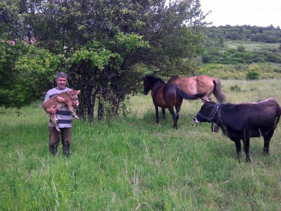 Priroda je Martinovo &quot;radno mesto&quot;
