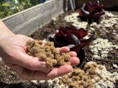 Martina Petrak koristi u povrtnjaku Woolee repelent od ovčje vune