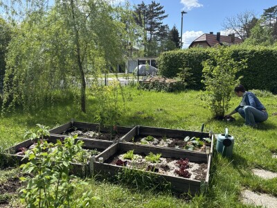 Martina Petrak koristi u povrtnjaku Woolee repelent od ovčje vune