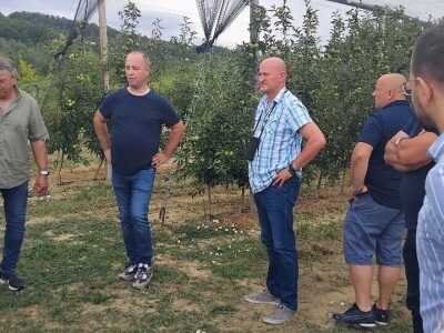 Mašina za mašinsku rezidbu voća