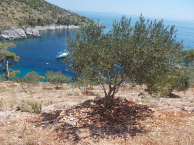 hvar iskustva o zimi