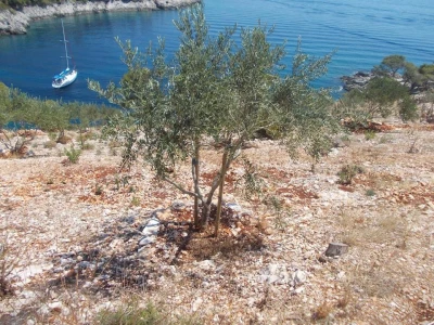 Važna je i lokacija jer nije svagdje bilo jednako hladno