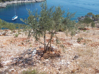 Važna je i lokacija jer nije svagdje bilo jednako hladno Važna je i lokacija jer nije svagdje bilo jednako hladno