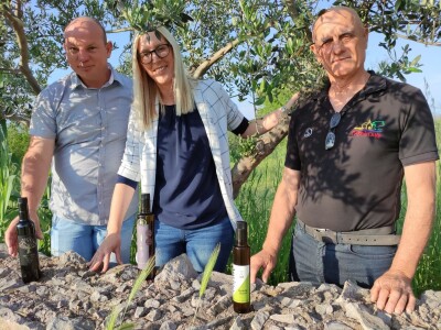 Maslinari Vulin, Lalin i Čudina častili za uspjeh u New Yorku