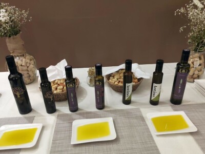 Maslinari Vulin, Lalin i Čudina častili za uspjeh u New Yorku