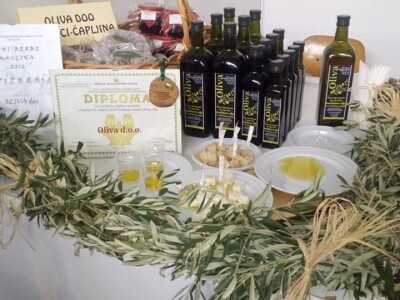 Maslinarstvo u Hercegovini