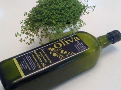 Maslinarstvo u Hercegovini