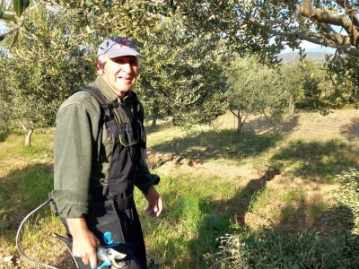 HUMANOST NA DJELU - Priskočili u pomoć i orezali maslinike oboljelim maslinarima