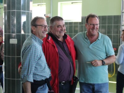 Maslinici i uljara obitelji Mikulić