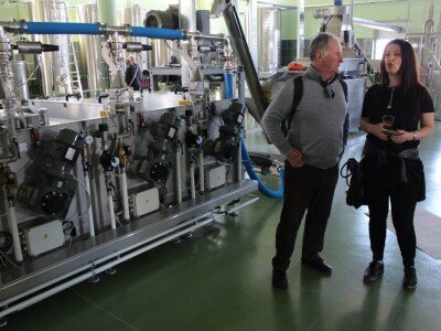 Maslinici i uljara obitelji Mikulić