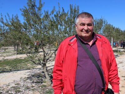 Maslinici i uljara obitelji Mikulić