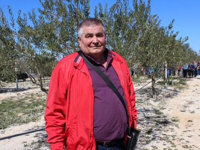 Maslinici i uljara obitelji Mikulić