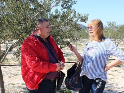 Maslinici i uljara obitelji Mikulić