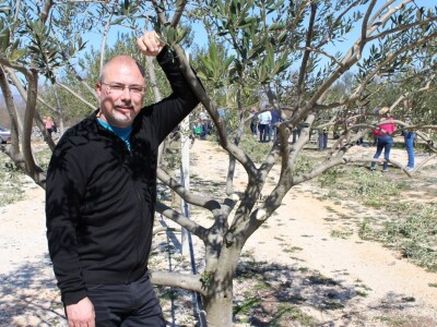 Maslinici i uljara obitelji Mikulić