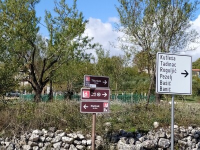 Maslinik Ante Kutleše