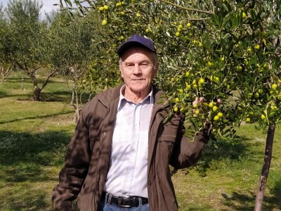 Maslinik Ante Kutleše