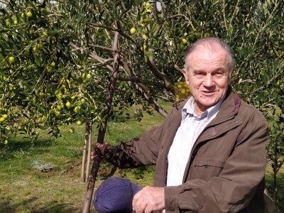 Maslinik Ante Kutleše