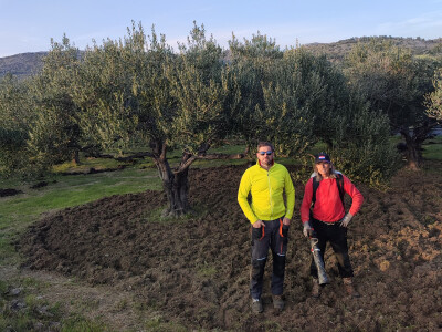Maslinik Nikice Cukrova i Vjerana Paića Maslinik Nikice Cukrova i Vjerana Paića