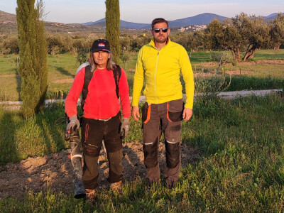 Maslinik Nikice Cukrova i Vjerana Paića Maslinik Nikice Cukrova i Vjerana Paića