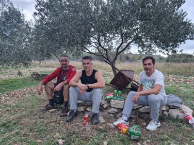 Maslinik obitelji Malić Maslinik obitelji Malić