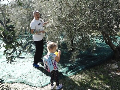 Uljara Bilaja Uljara Bilaja