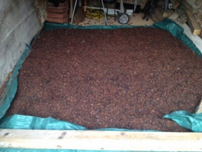 Maslinova komina iz koje je proizveden novi paški sir u Sirani Gligola na otoku Pagu