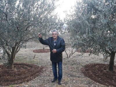 Maslinovo ulje iz Gruda tri godine zaredom osvaja priznanja Maslinovo ulje iz Gruda tri godine zaredom osvaja priznanja