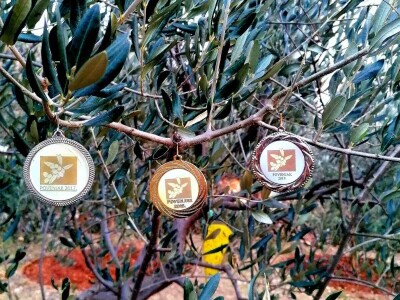 Maslinovo ulje iz Gruda tri godine zaredom osvaja priznanja Maslinovo ulje iz Gruda tri godine zaredom osvaja priznanja