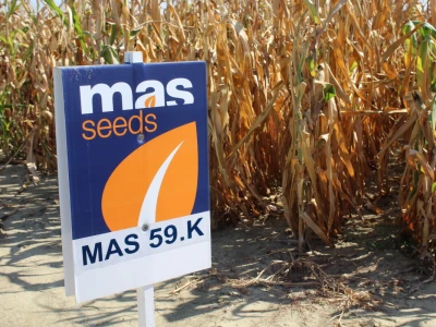 Mass Seed