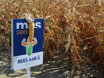 Mass Seed