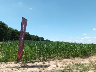 Massey Ferguson serija MF 1M