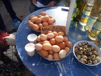 Mato Cvitić posjeduje farmu od oko petsto komada peradi