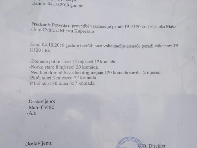 Mato Cvitić posjeduje farmu od oko petsto komada peradi