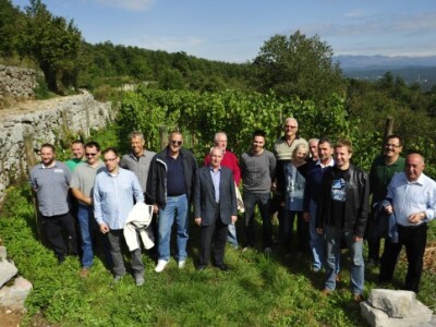 Izgrađen je sustav navodnjavanja