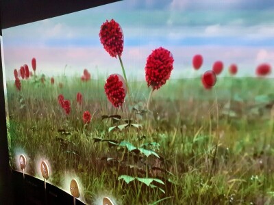 Matulov grunt Matulov grunt