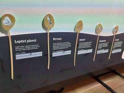 Matulov grunt Matulov grunt