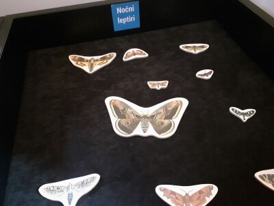 Matulov grunt Matulov grunt