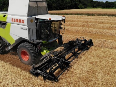 Mauthner durum pšenica