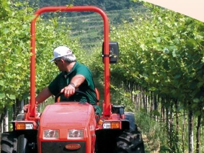 Traktor Goldoni Maxter