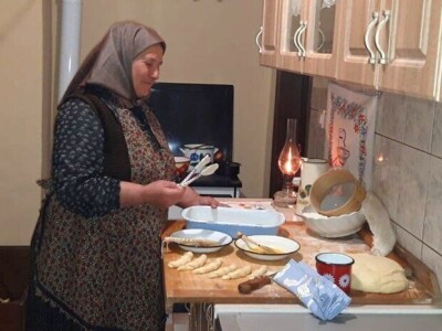 Mazalice od guščjeg perja