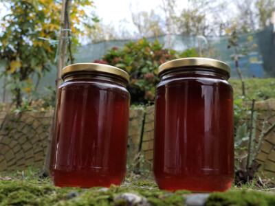 On je junak, a ona šefica! Eldin i Armina Muhović prepoznali blagodati sela